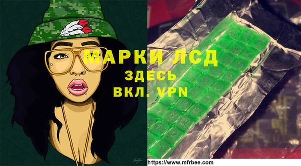 индика Волосово
