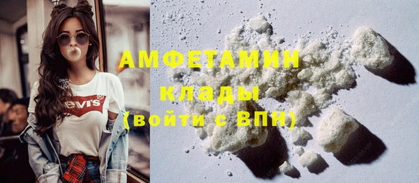 индика Волосово