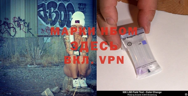 индика Волосово