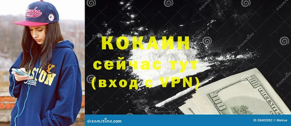 молекула духа Волоколамск